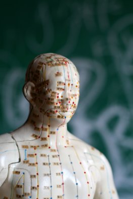 Akupunktur-Dummy: Akupunkturpunkte am menschlichen Körper