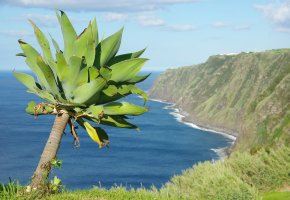Azoren: Blick auf den Atlantik