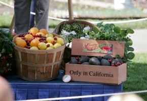 Only in California: Biokost - Gemüse und Obst aus regionalen Produkten