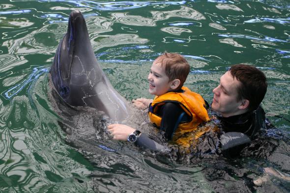 Eine Delphintherapie kann kranken Menschen helfen.