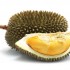 Exotische Frucht Durian