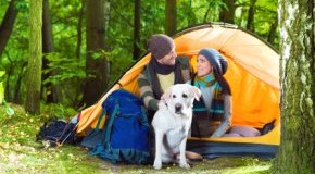 Ein Pärchen macht Camping-Urlaub mit dem Hund