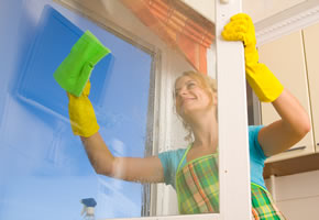 Fensterputzen mit der richtigen Reinigungstechnik
