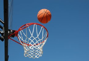 Funsportart: Esel-Basketball - Basketball mit Eseln