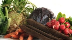 Gemüse im Winter - Wintergemüse z.B. Kohlarten, Wurzelgemüse, Salate und Zwiebelgewächse