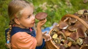 Ein kleines Mädchen mit frischen Pilzen