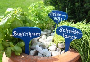 Kräutergarten: eigene Kräuter im Garten anbauen