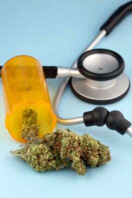 Medizinischer Drogenkonsum: Marihuana auf Rezept