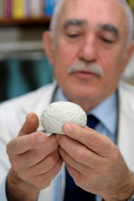 Neurologe mit einem Gehirn-Modell
