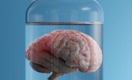 Neuropsychologie - Läsionsstudien: ein Gehirn in einem Probegefäß