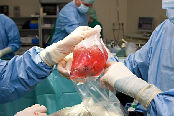 Eine Nierentransplantation ist für Nierenkranke die letzte Hoffnung.