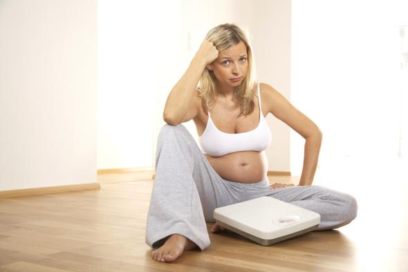 Perinatale Programmierung - Dicke Schwangere bekommen dicke Kinder.