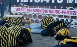 Protestaktion von Avaaz gegen das Bienensterben