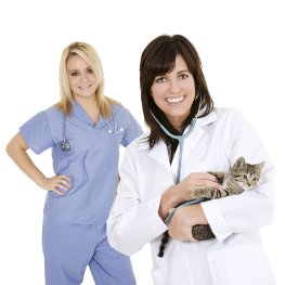 Tierarzt: Die Tierarztpraxen akzeptieren die Tierkrankenversicherung