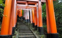 Torii Tore in Japan - Fushimi Inari Shinto-Schrein in Kyoto
