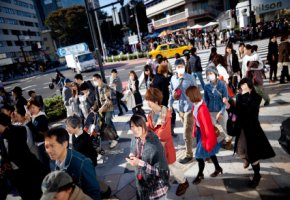 Tsutsugamushi-Fieber die Menschen in Tokio sind besorgt
