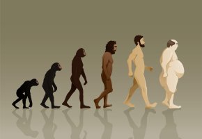 Übergewicht - vom Primaten zum Homo Sapiens