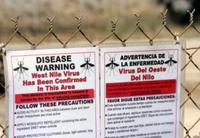 Warnschild - West-Nil-Virus gesperrte Zone